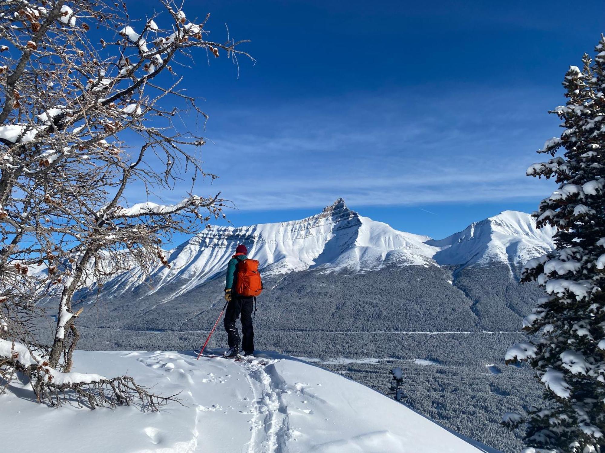The Lodge At Bow Lake Lago Louise Exterior foto