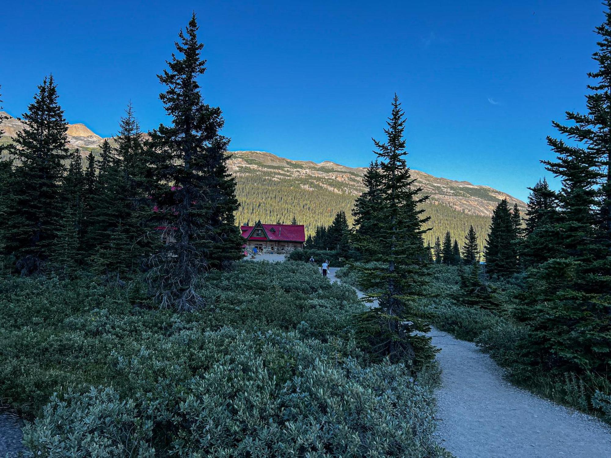 The Lodge At Bow Lake Lago Louise Exterior foto