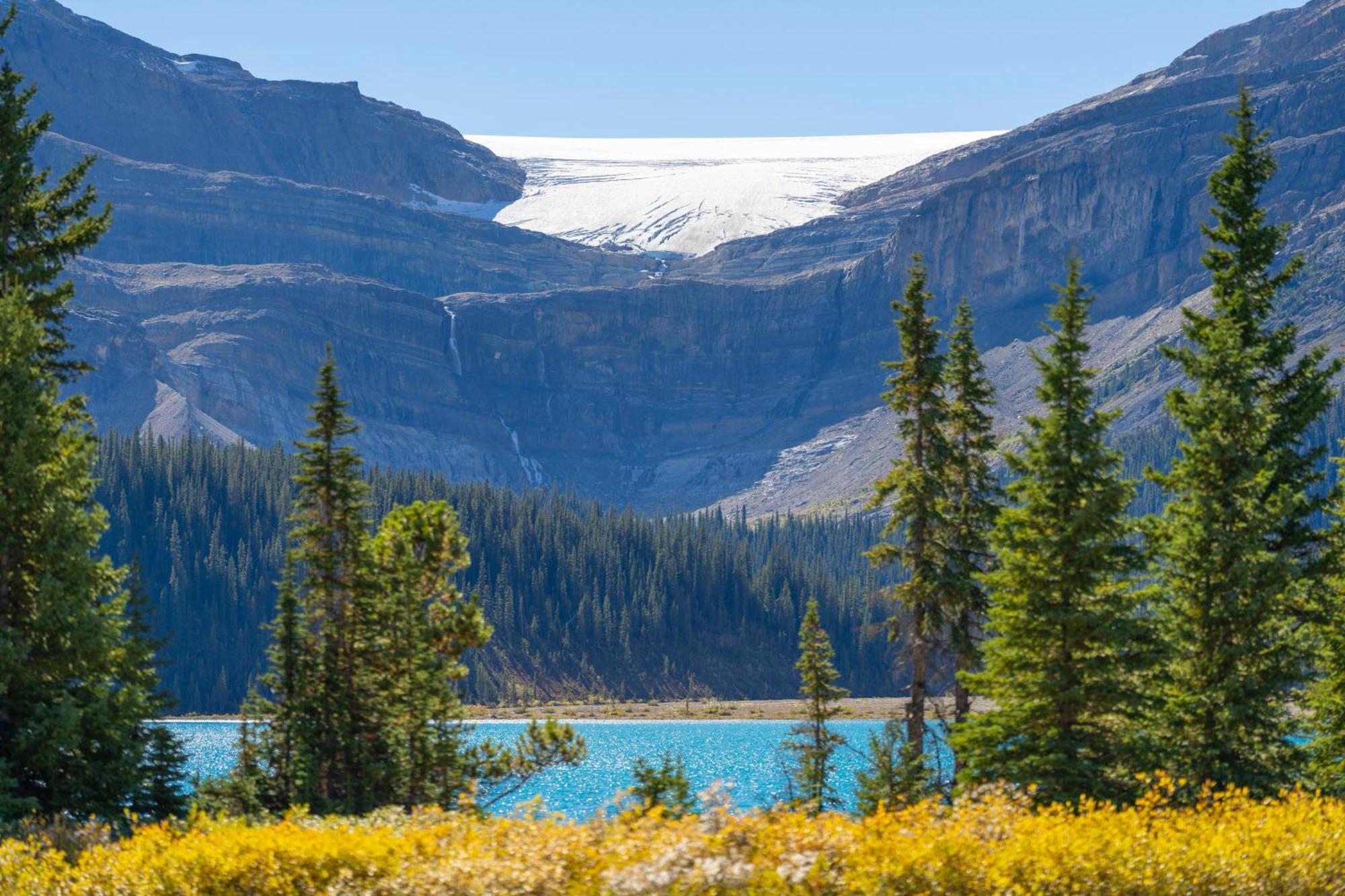 The Lodge At Bow Lake Lago Louise Exterior foto